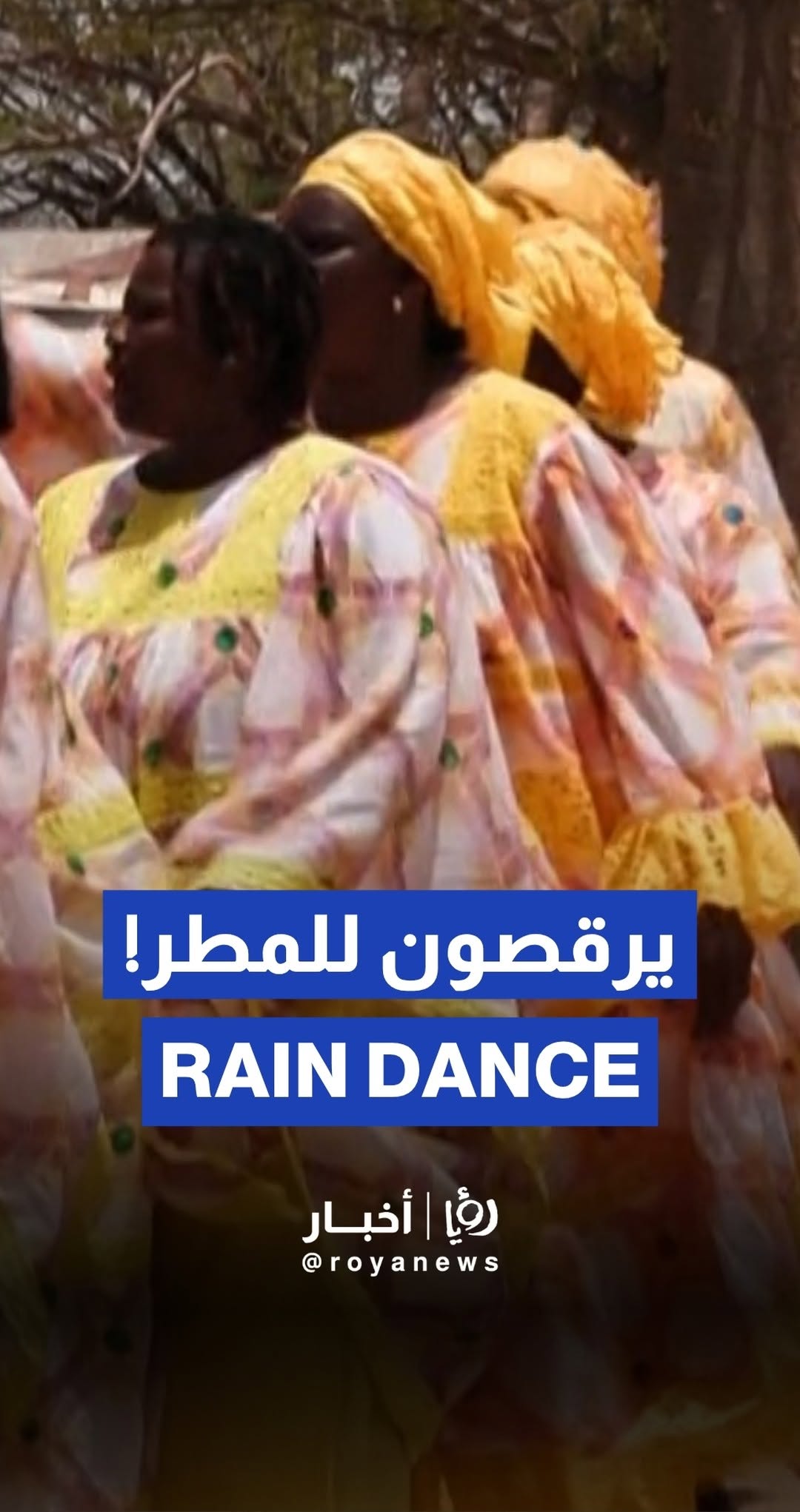 Senegal's ceremony of predictions before the rainy season