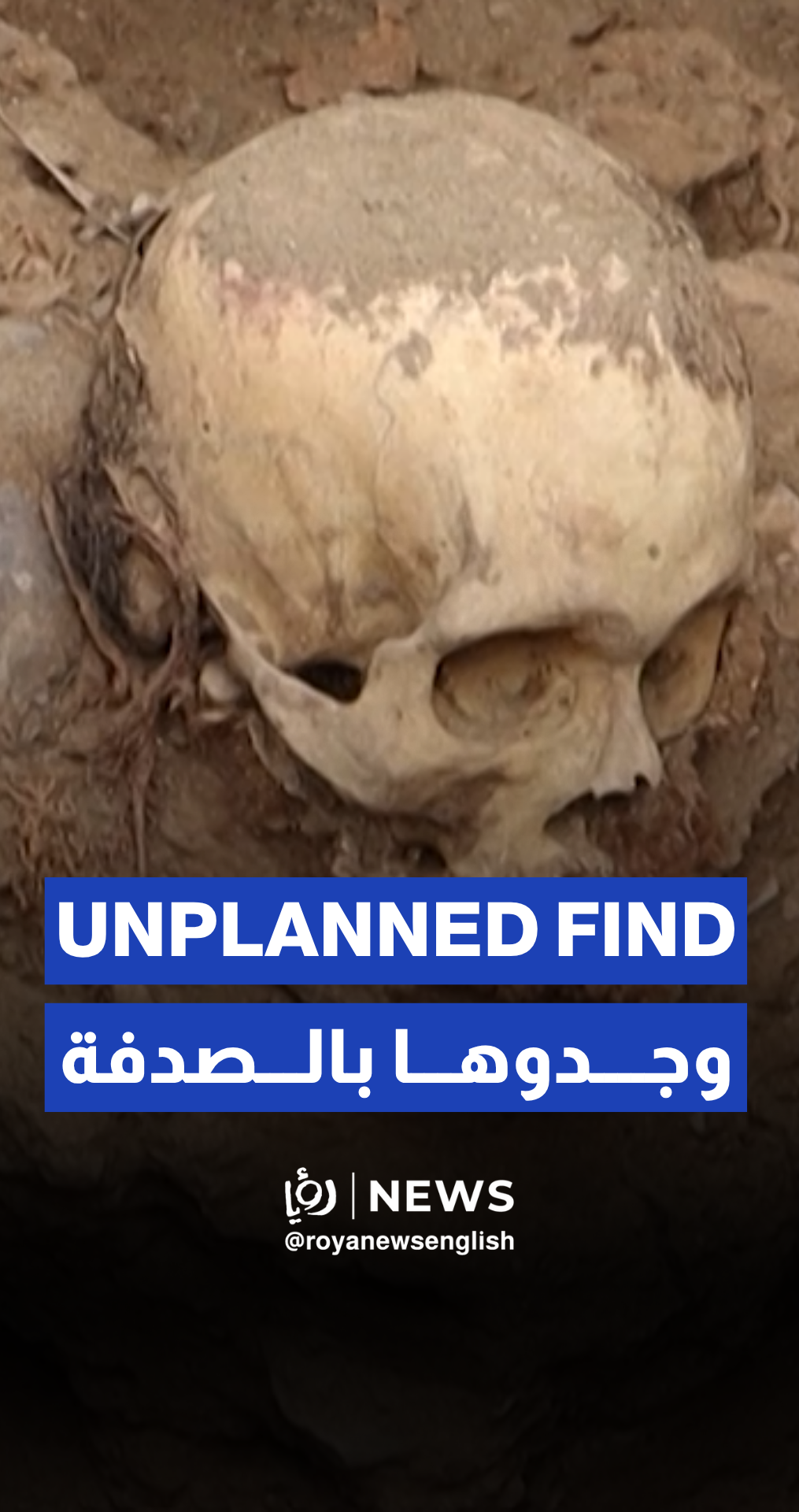 Gas workers accidentally discover 1,000-year-old mummy in Lima