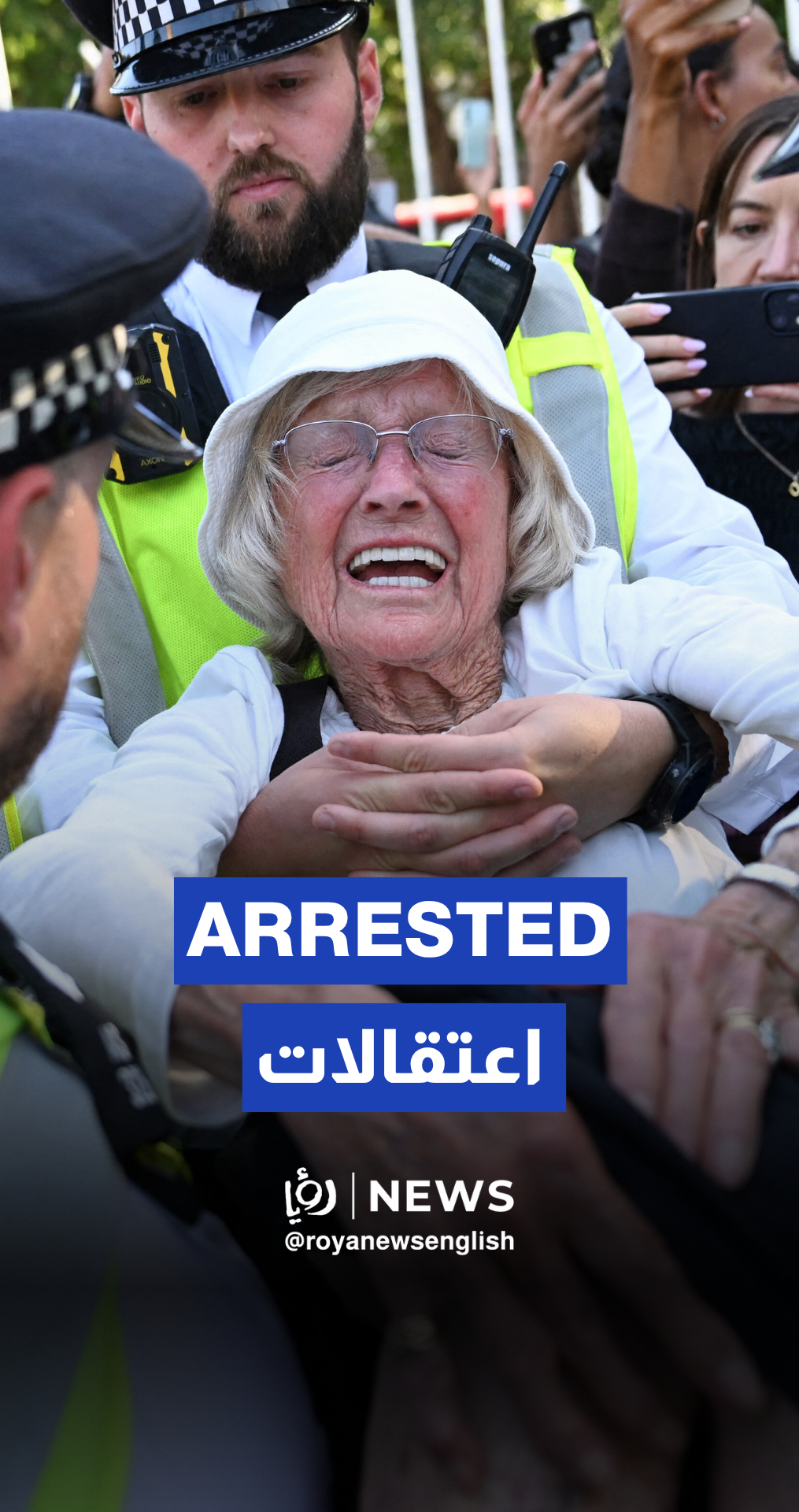 Police arrest demonstrators supporting Palestine Action in London