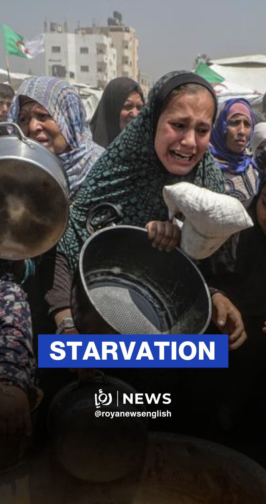 Gazans struggle to get food as famine worsens daily