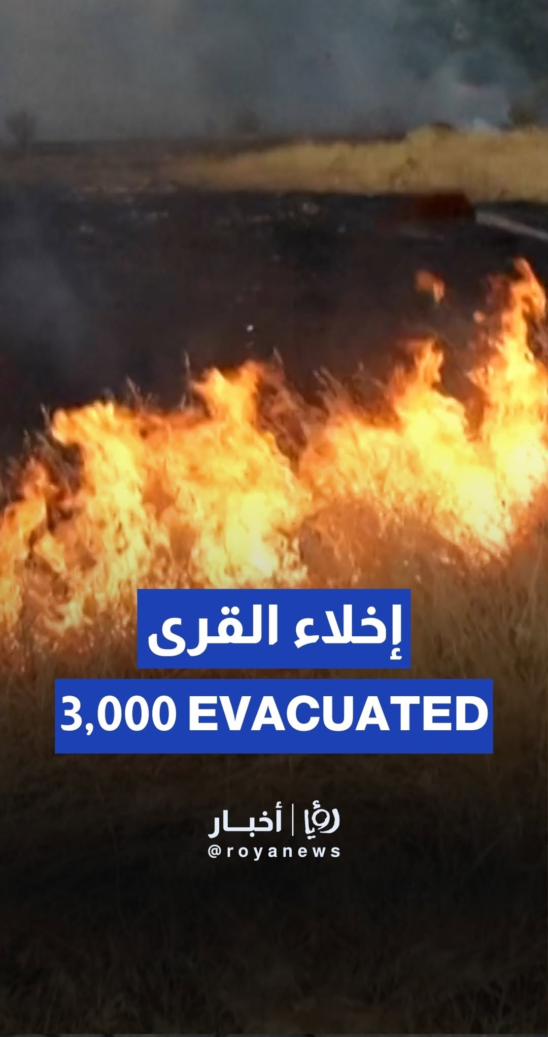 3,000 evacuated due to wildfires in Castile, Leon