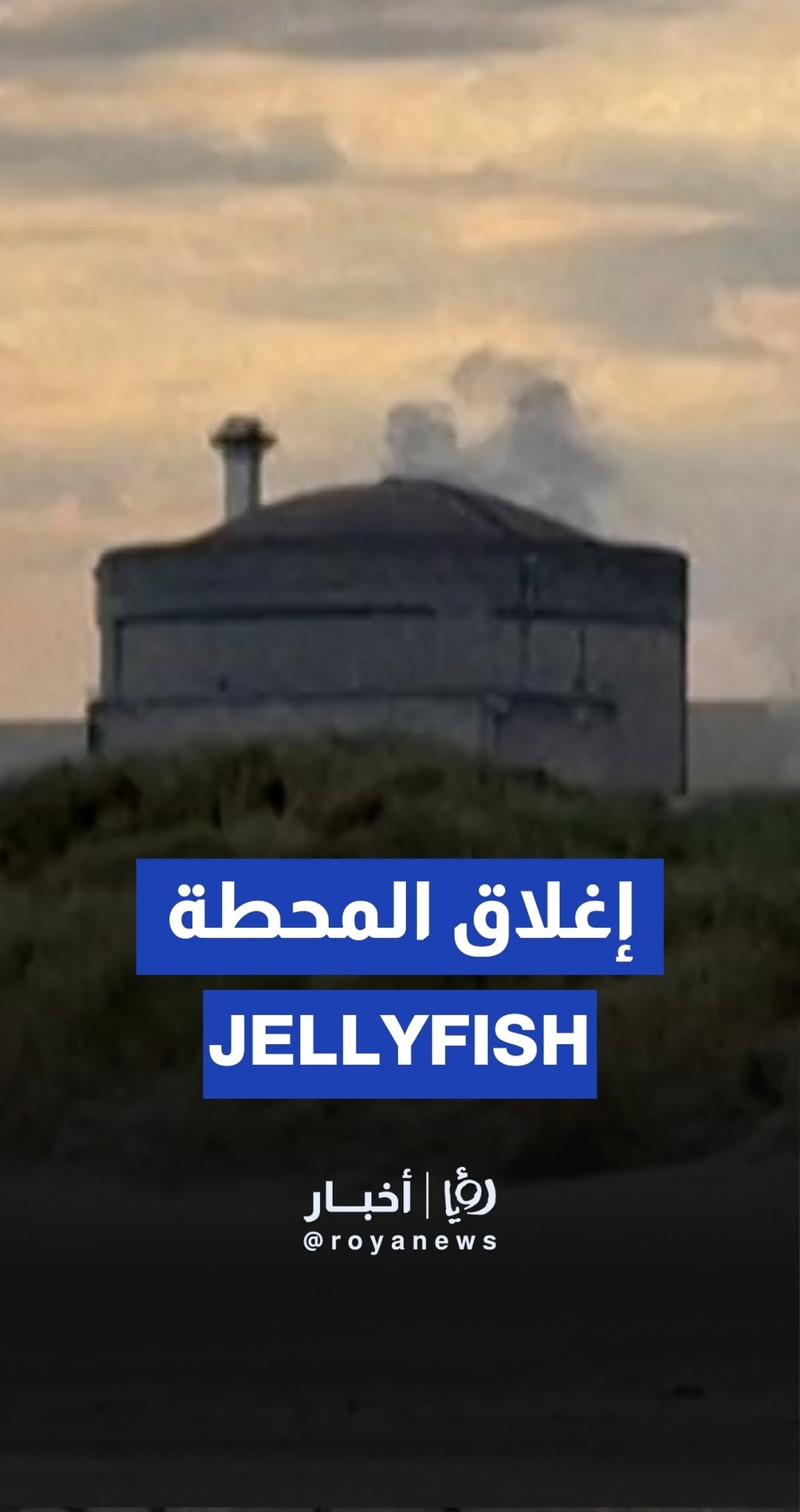 Jellyfish force French nuclear plant shutdown