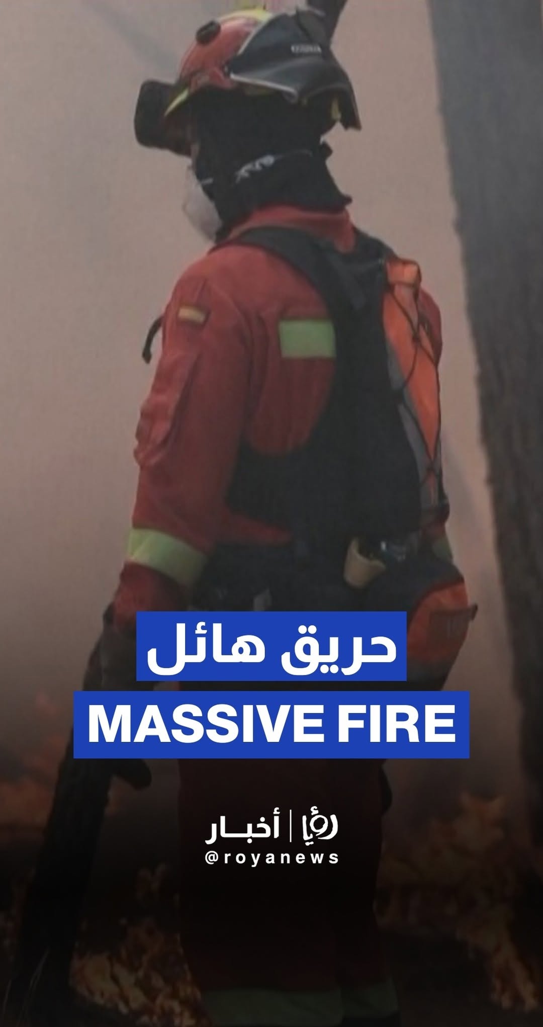 Spanish firefighters battle massive wildfire