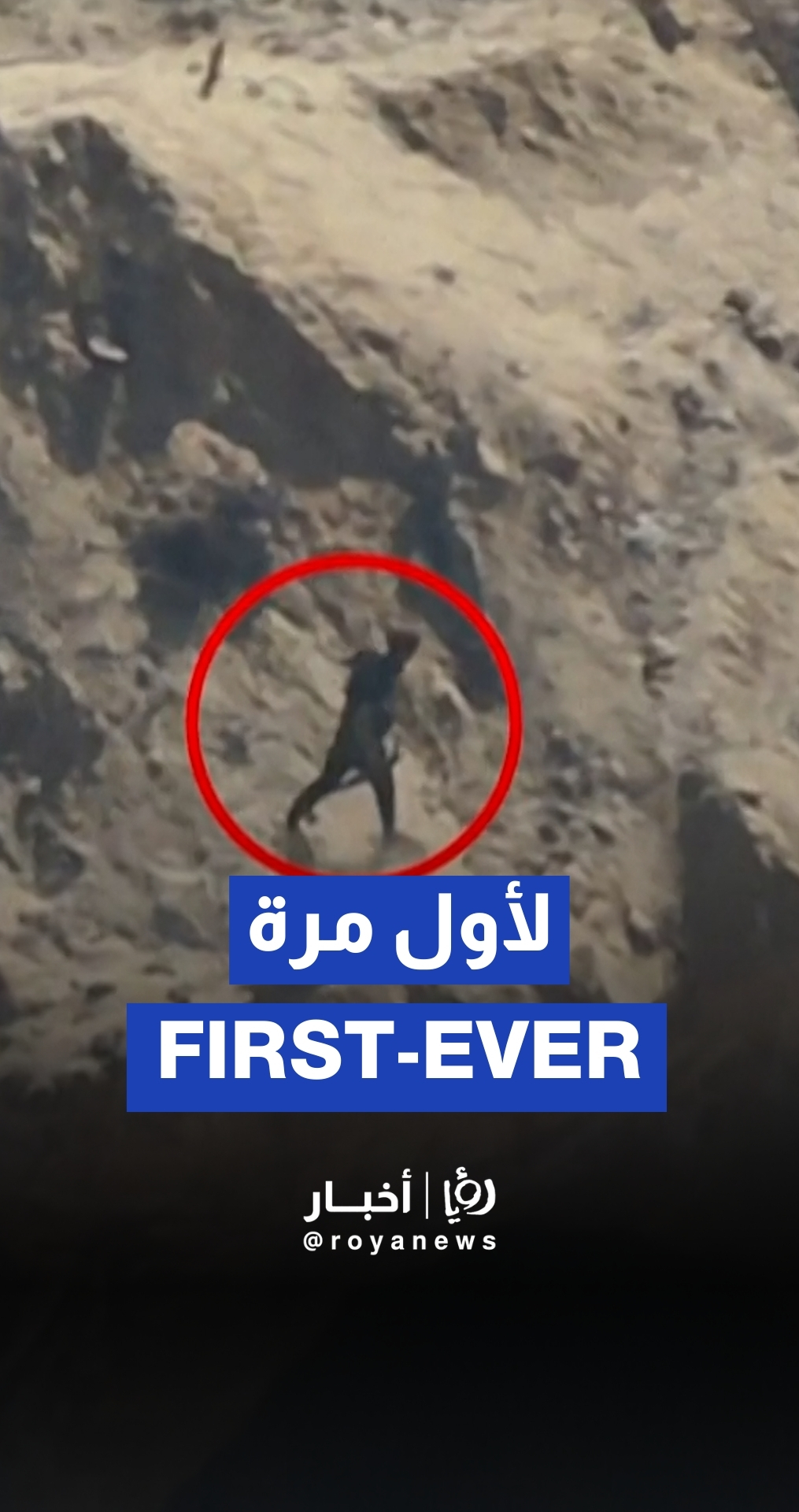 Footage of Qassam attack on ‘Israeli’ army in Khan Younis