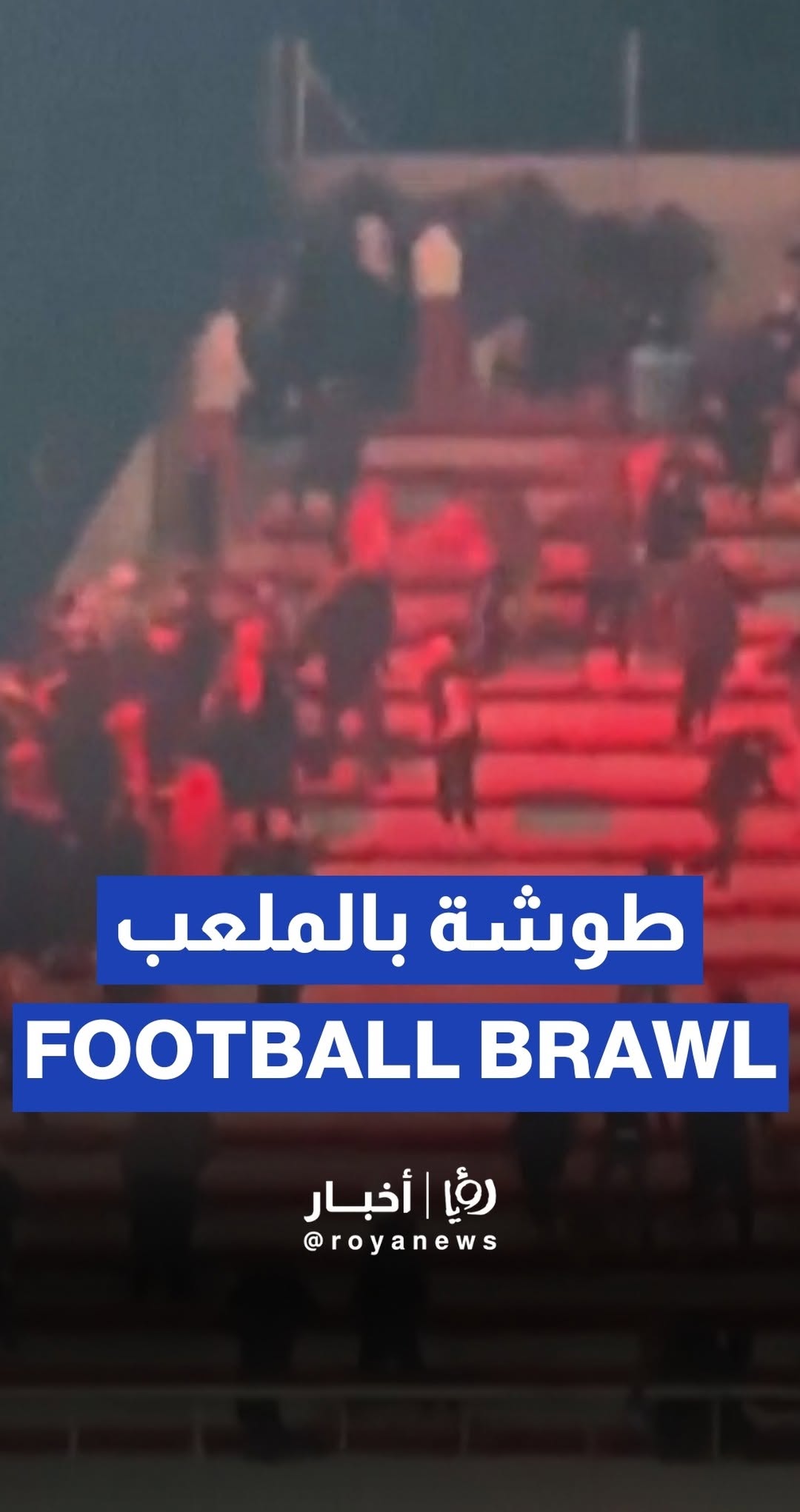 Hundreds arrested and injured after football fight in Argentina