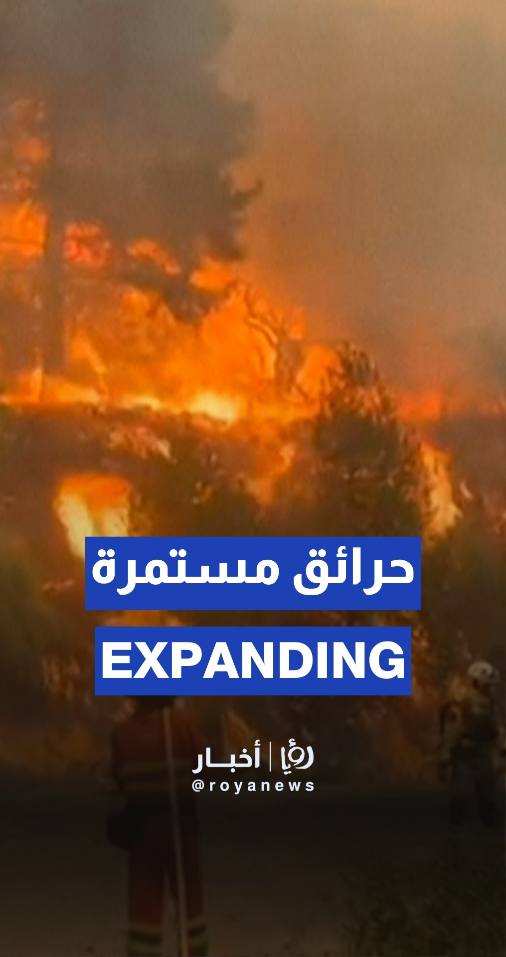Spain fights wildfires with the help of Dutch helicopters