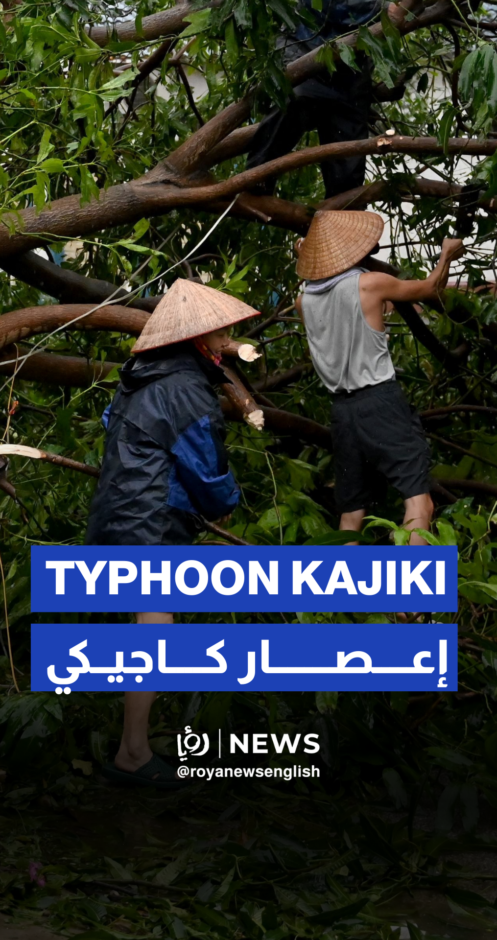 Vietnam cleans up after Typhoon Kajiki as death toll rises to three
