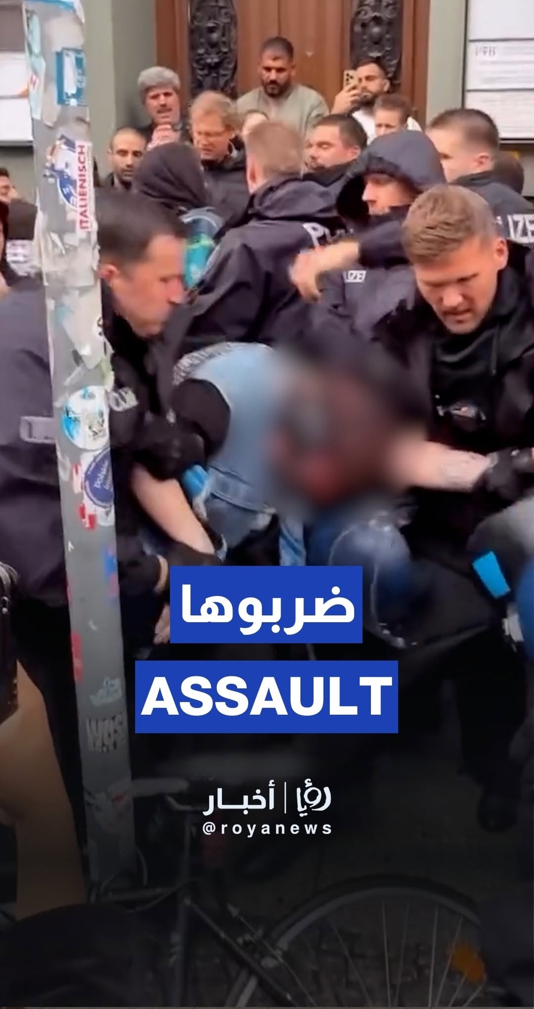 Activist attacked by Berlin police during Gaza rally