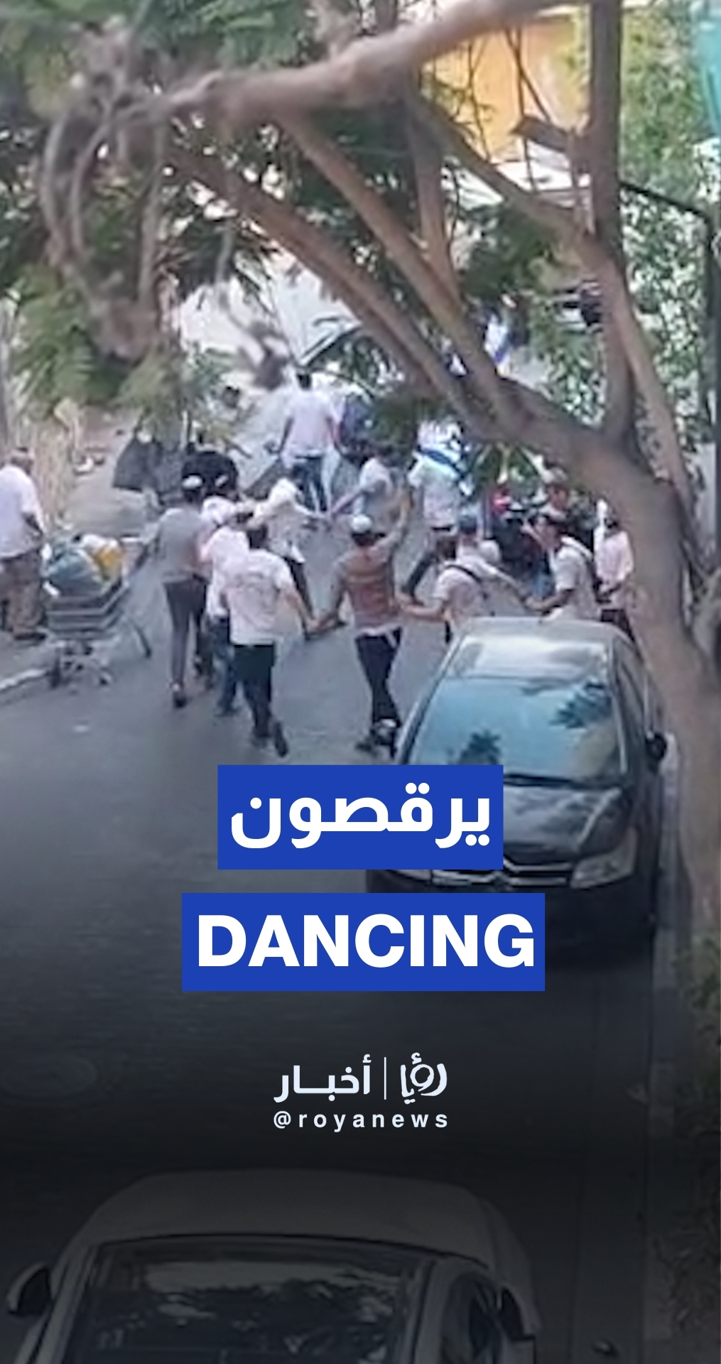 'Israeli' settlers dance in Hebron market