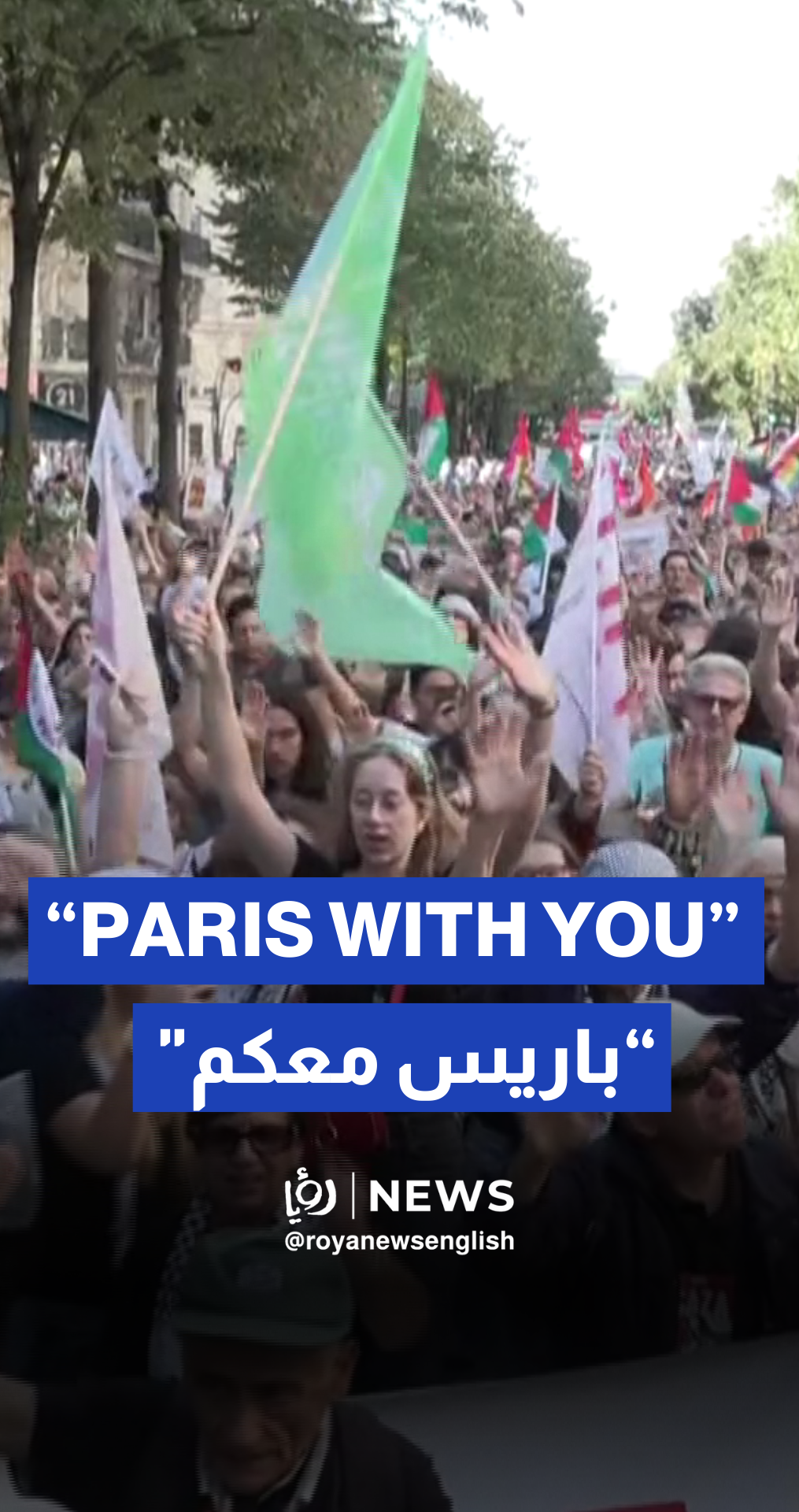 Thousands march in Paris in support of Palestinians