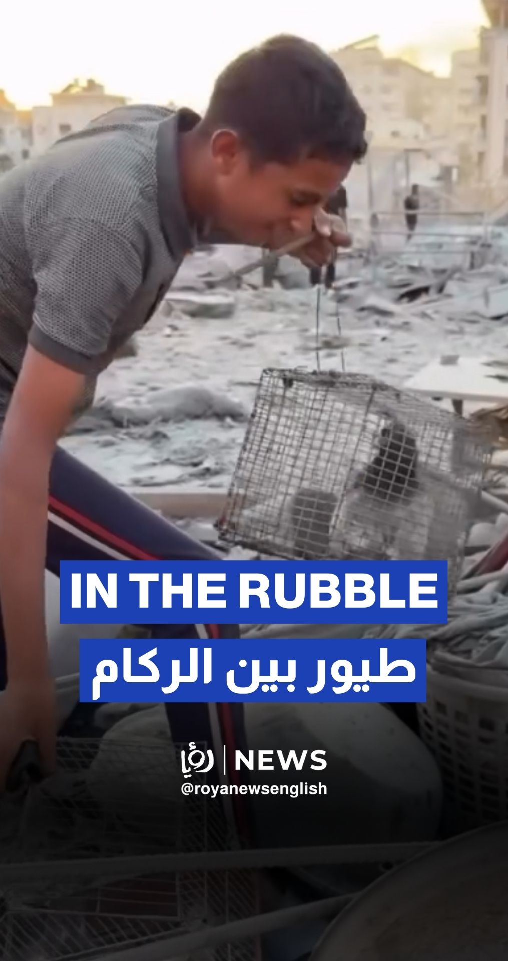 Palestinian child in tears searching through the rubble for cages containing pet birds