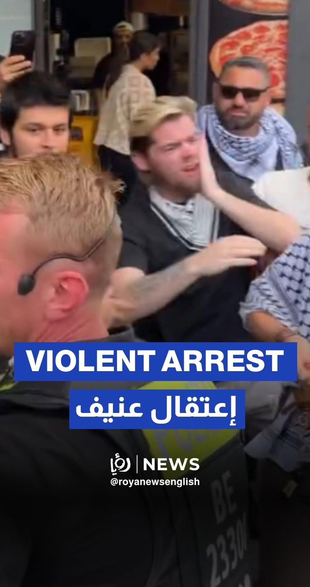 Pro-Palestine protesters in Berlin arrested and punched