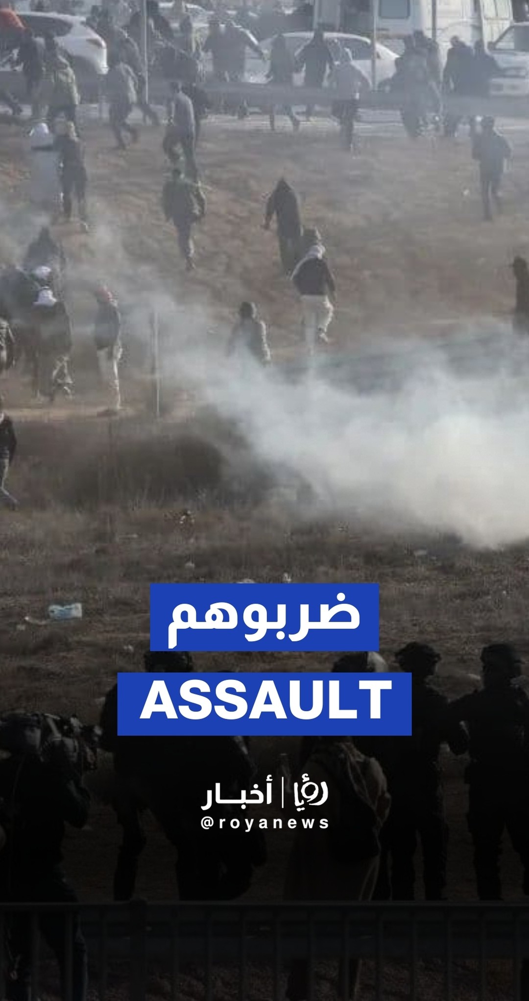 ‘Israeli’ police assault Palestinians in Negev