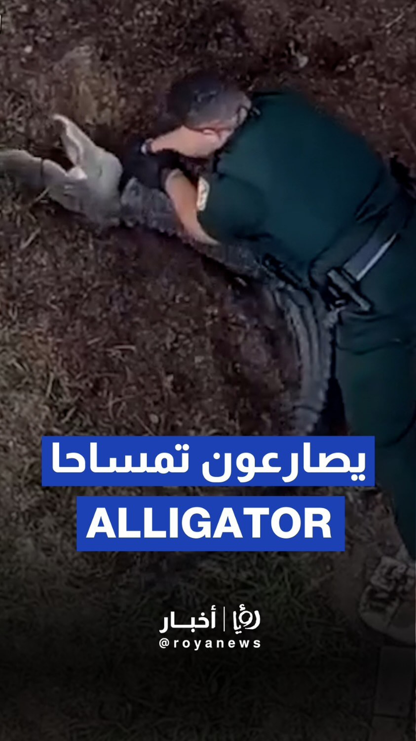 Officers battle crocodile inside residence