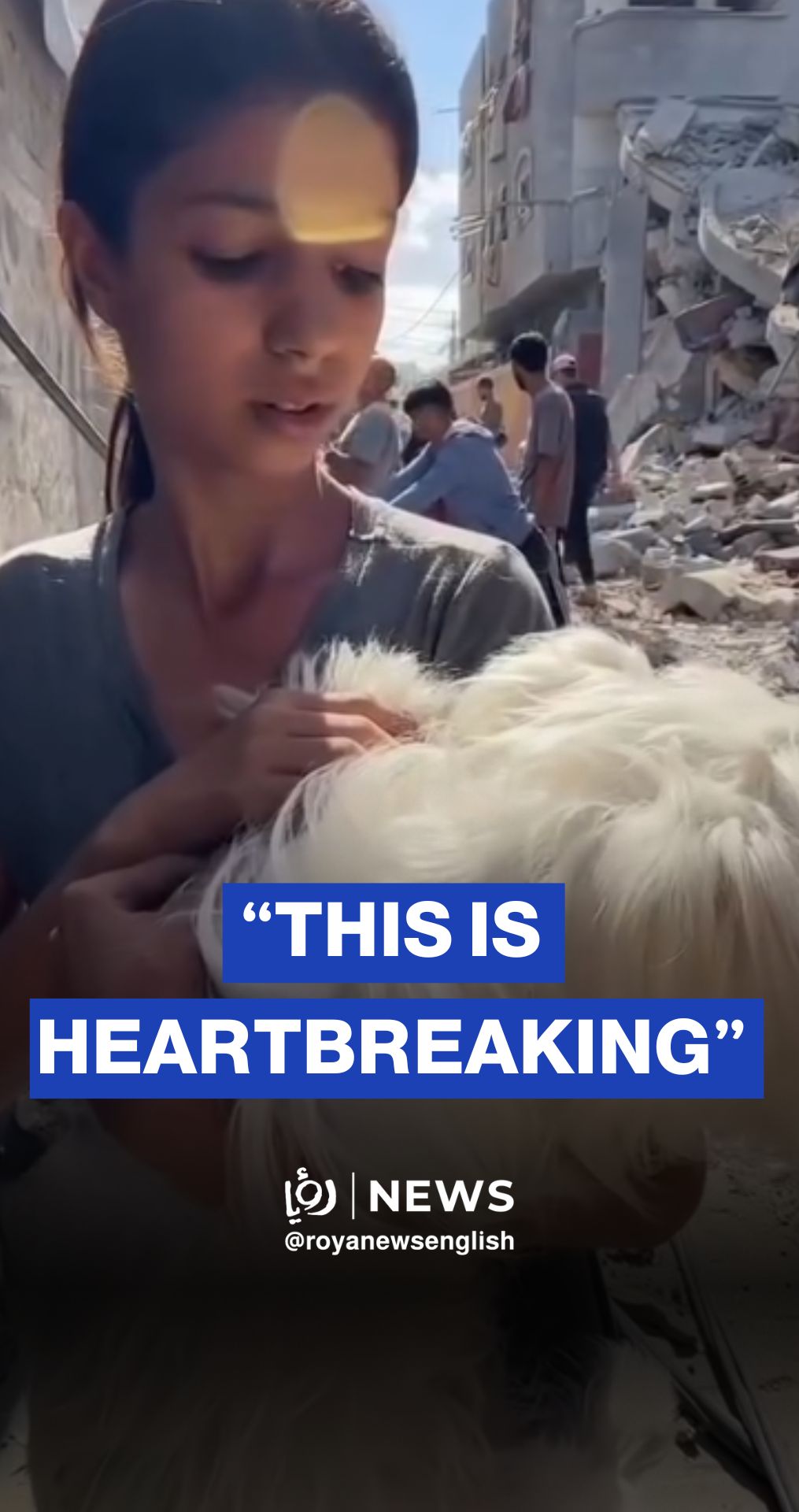 Gaza girl refused to leave her terrified dog after airstrikes burned their tent