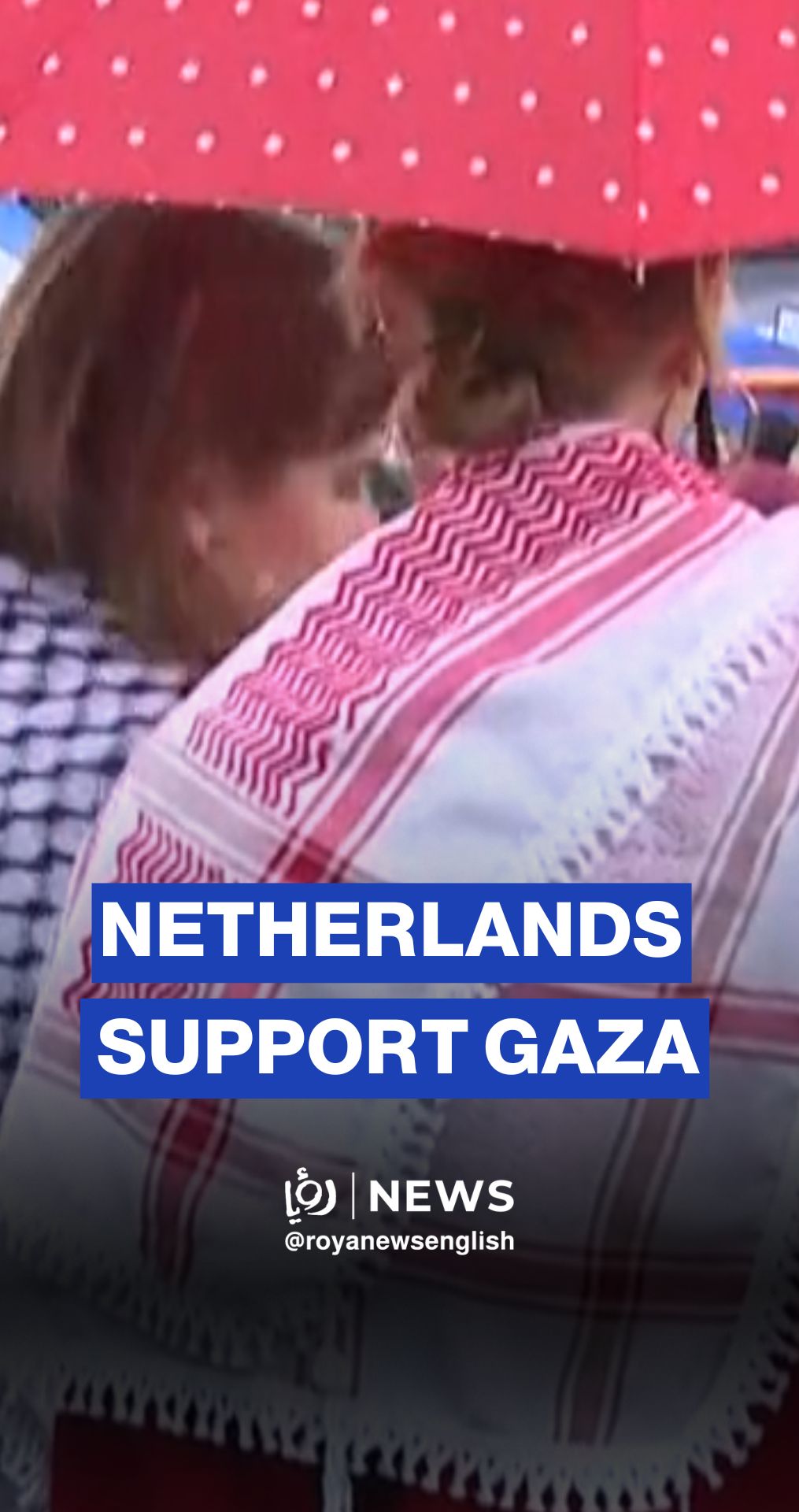 Tens of thousands gather in Amsterdam to support Palestinians
