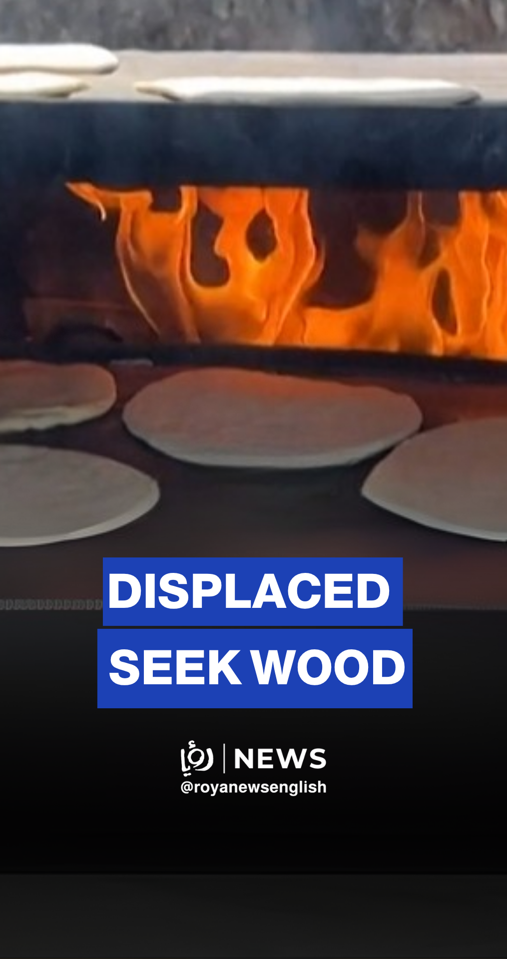 Displaced Gazans search garbage dump for firewood for cooking