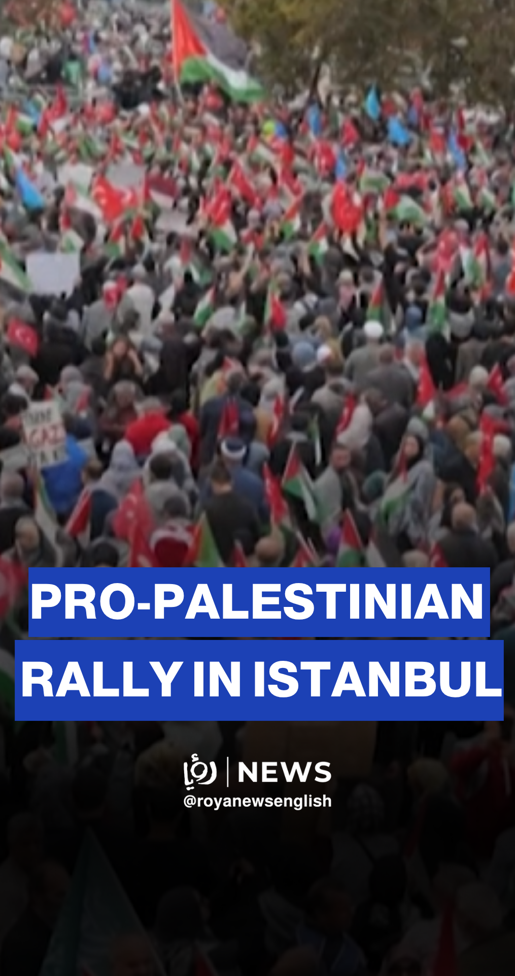 Thousands of demonstrators took to the streets of Istanbul in a massive rally supporting Palestine