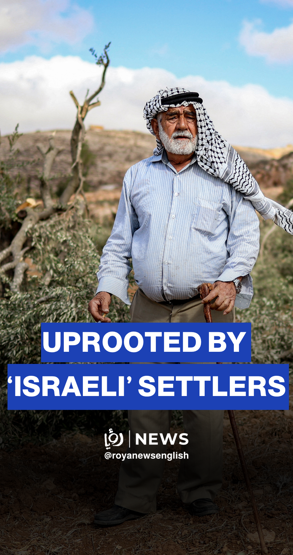 Palestinian mourns as 'Israeli' settlers uproot his olive trees