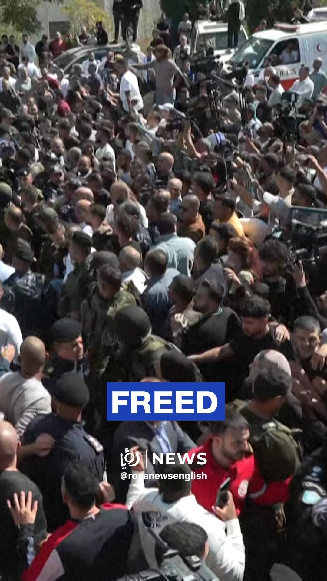 Crowds in Ramallah greet detainees freed from ‘Israeli’ jails