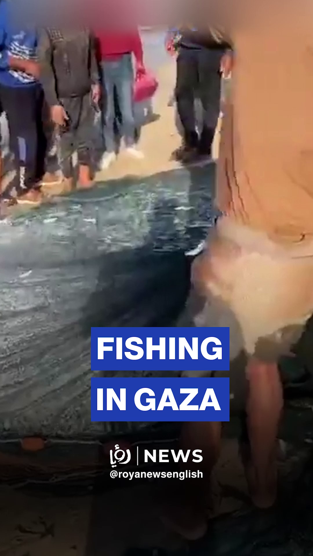 Gazans overjoyed at the beach after catching fish off the coast