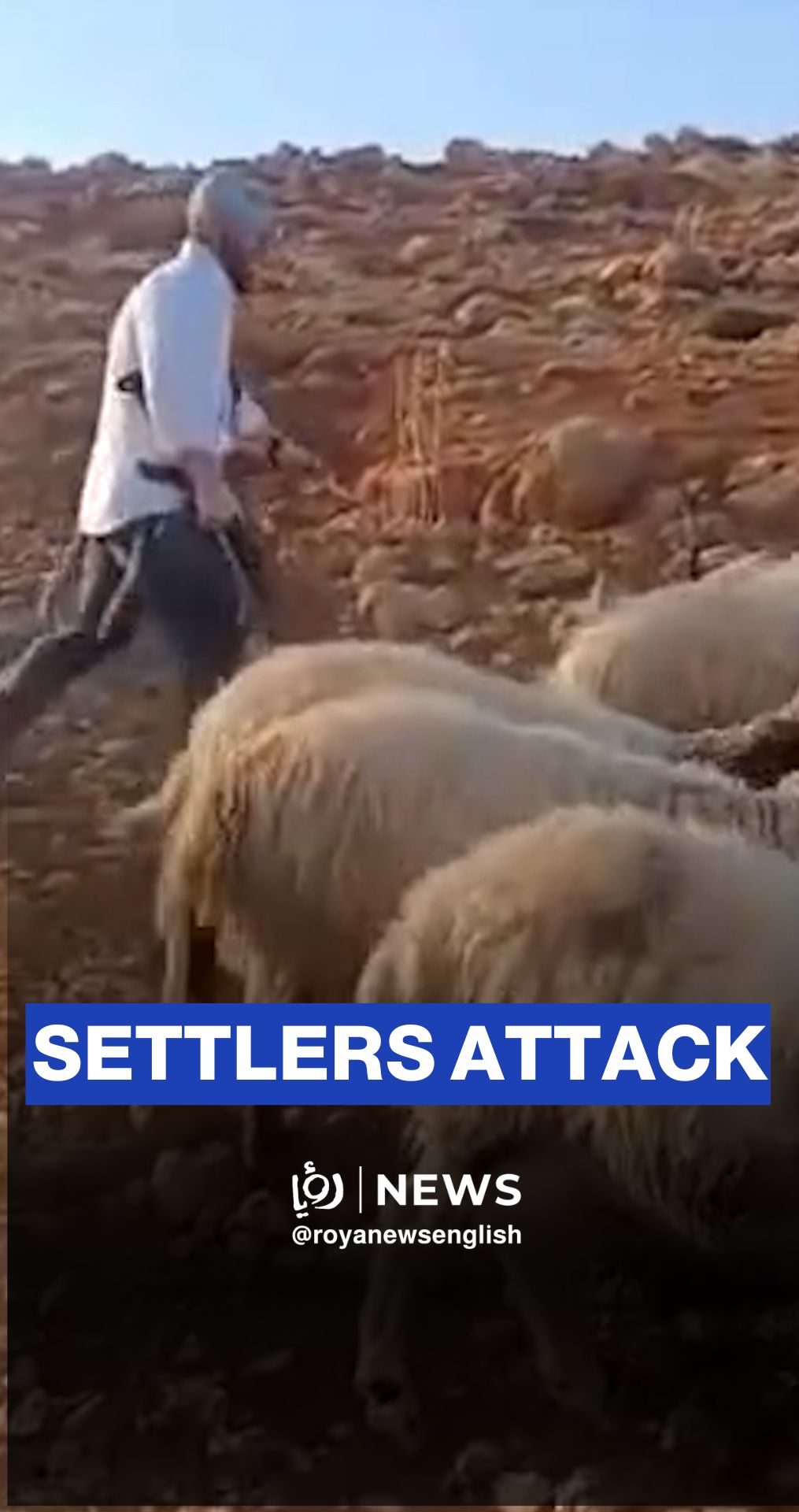 'Israeli’ settlers attack Duma village in Nablus, West Bank, and attempt to steal sheep