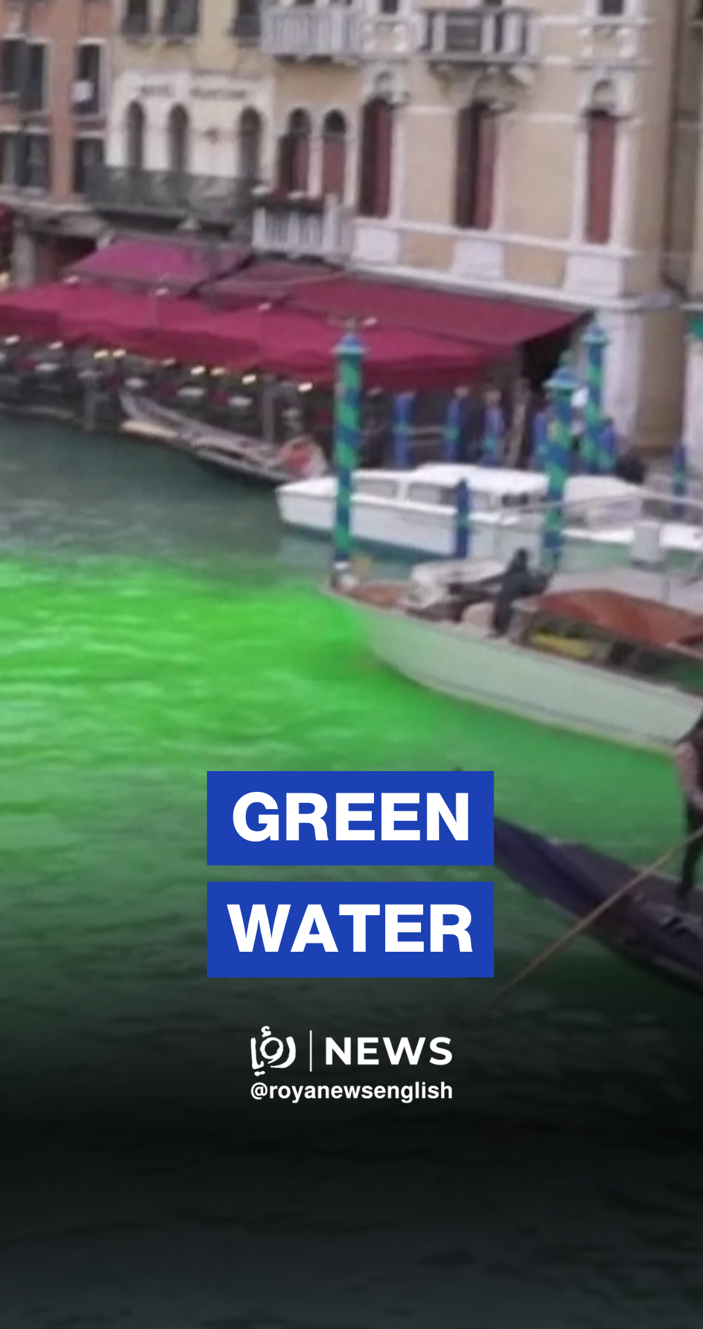 Green water: Climate activists dye Venice's Grand Canal