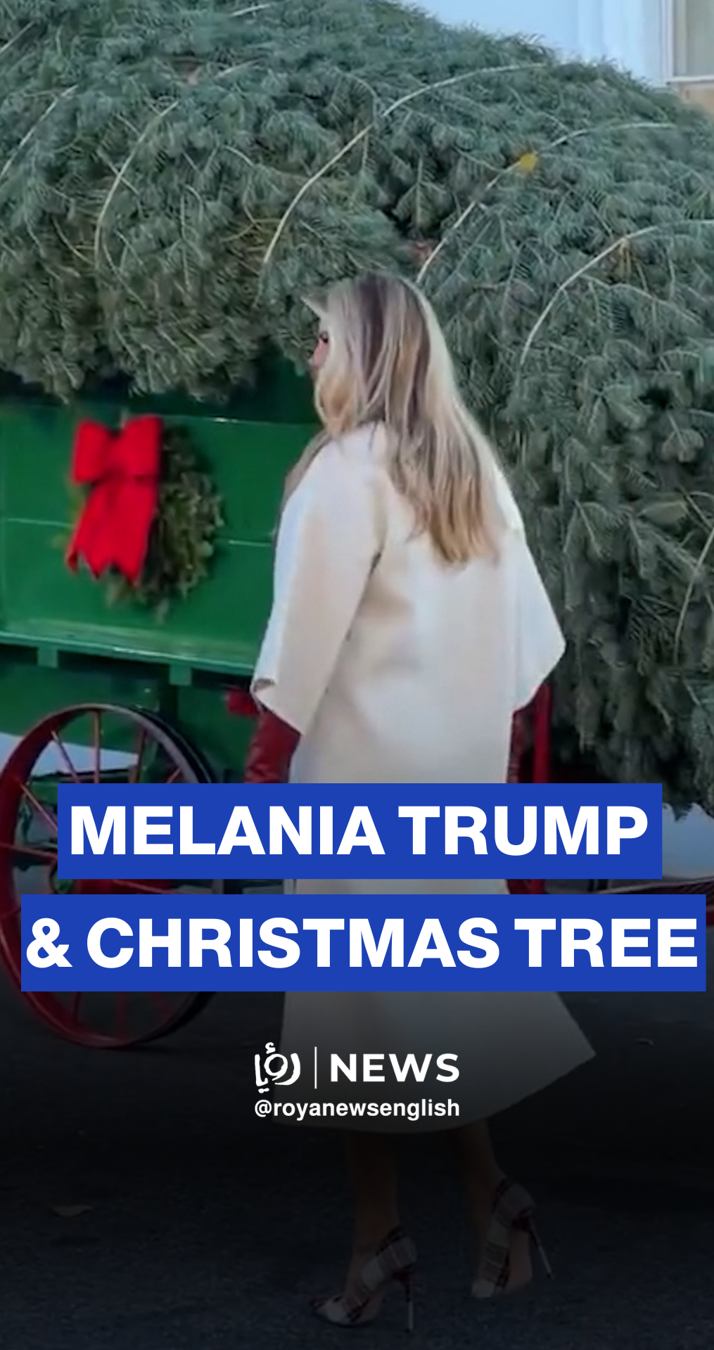 Melania Trump welcomes the official White House Christmas tree
