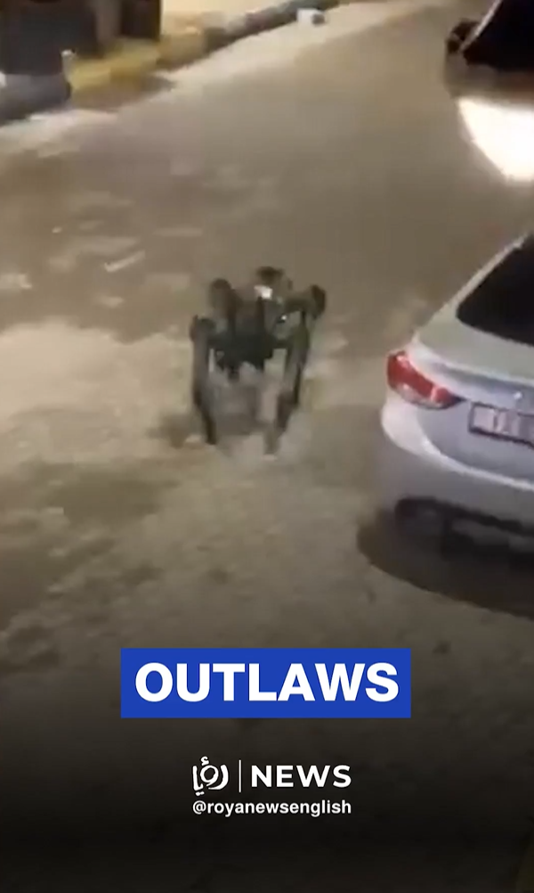 Jordanian authorities conduct raid in Ramtha targeting outlaws