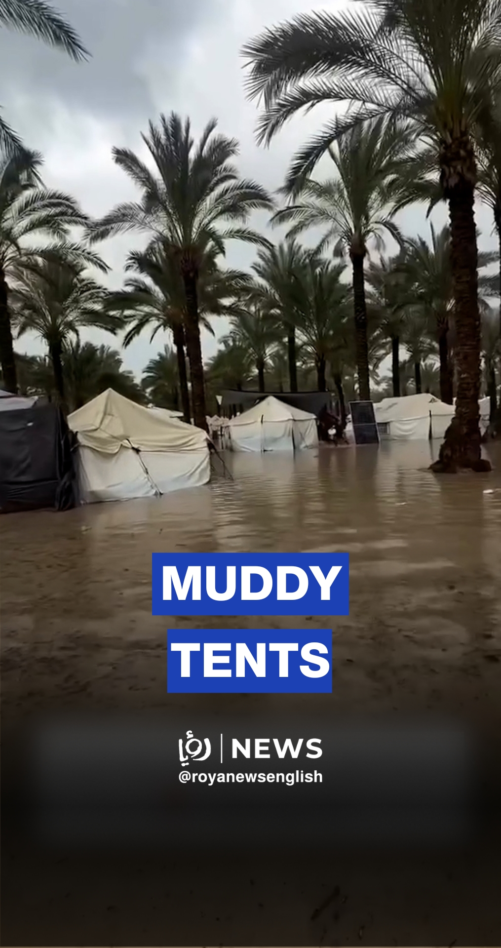 Gazans struggle with mud and cold as rain floods their tent camps