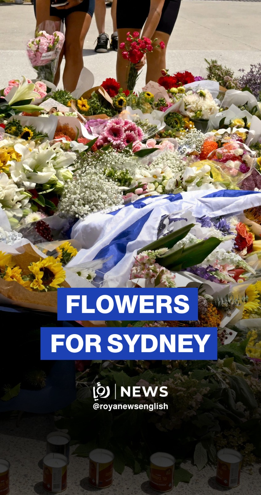 Australians 'heartbroken' after attack on Jewish festival leaves 16 dead