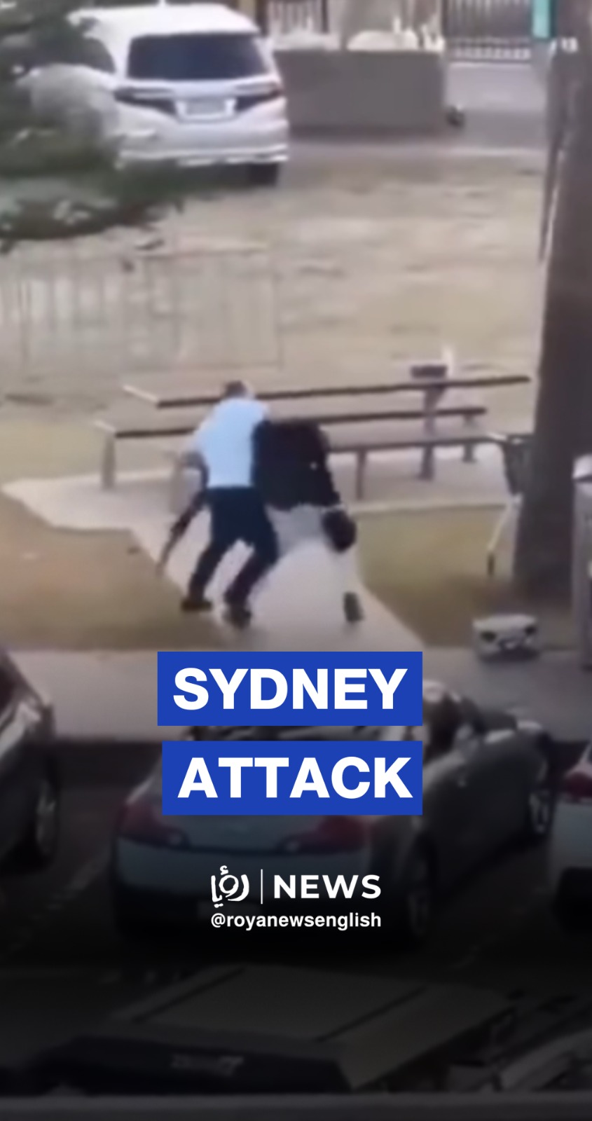 Gunmen kill 15 at Jewish festival on Australia's Bondi Beach