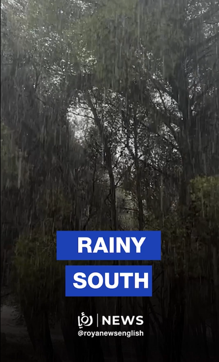 Weather system brings rain, fog to Tafilah highlands