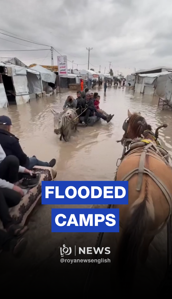 Horse and donkey carts navigate flooded Gaza camps