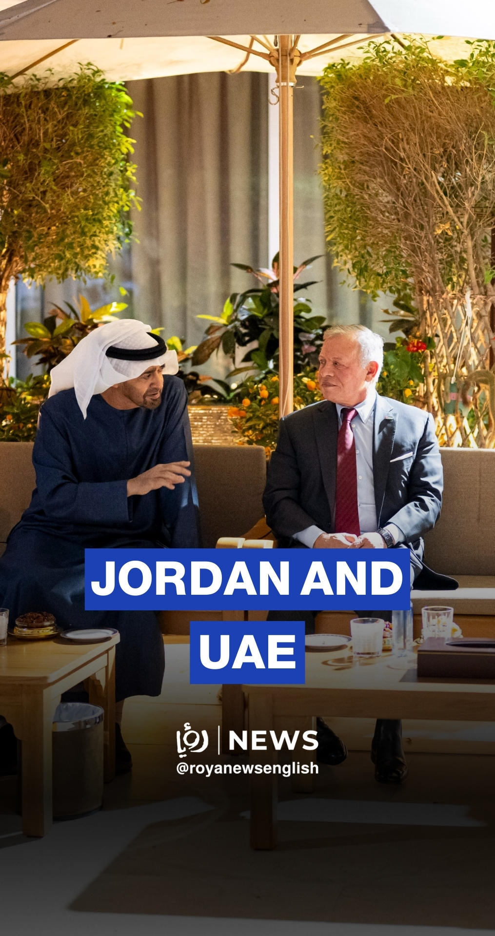 King Abdullah II meets UAE President to discuss regional tensions