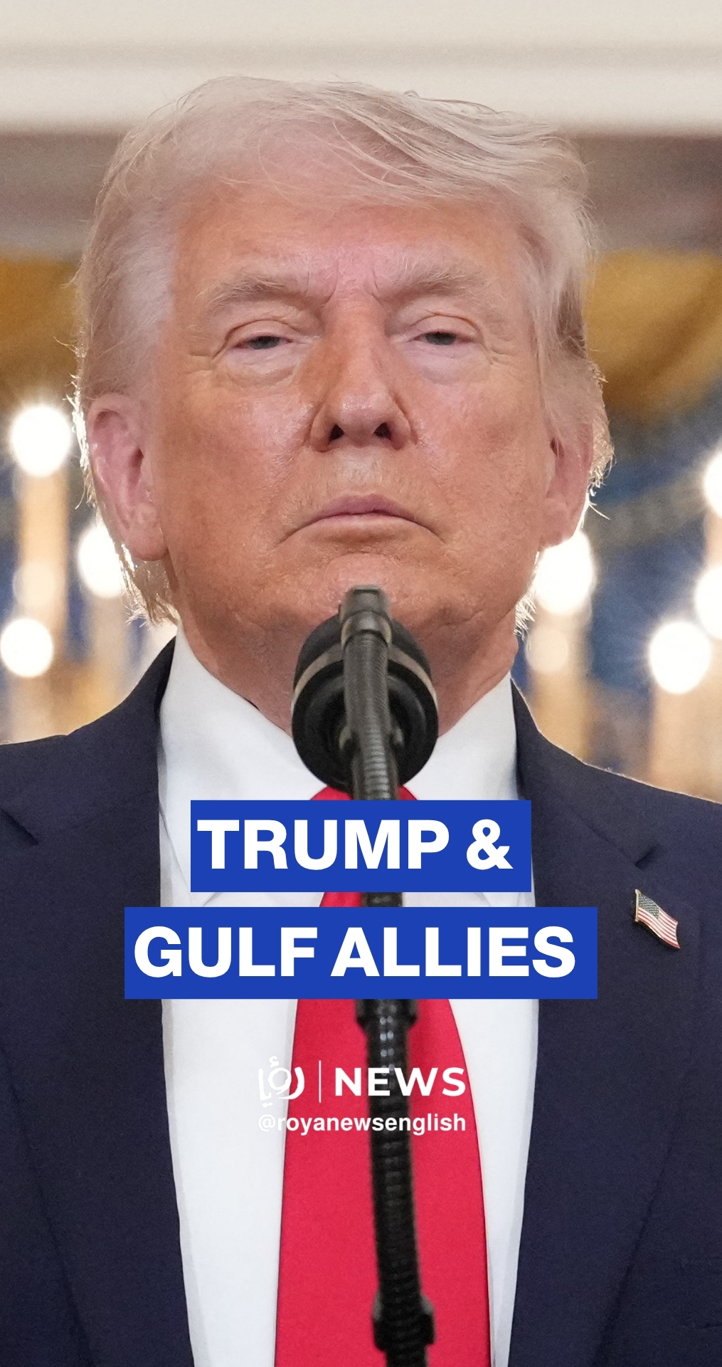 Trump says US won't let ‘Israel’, Gulf Arab allies “get hurt or fail” due to Iran war