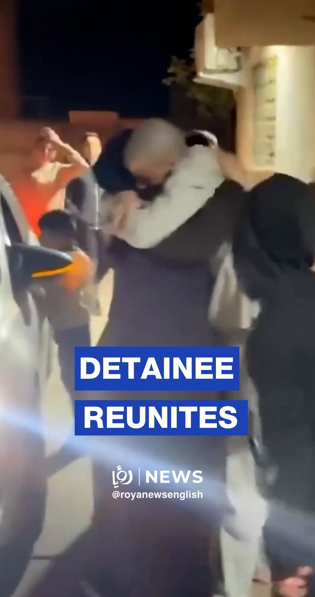 Freed Palestinian detainee reunites with mother
