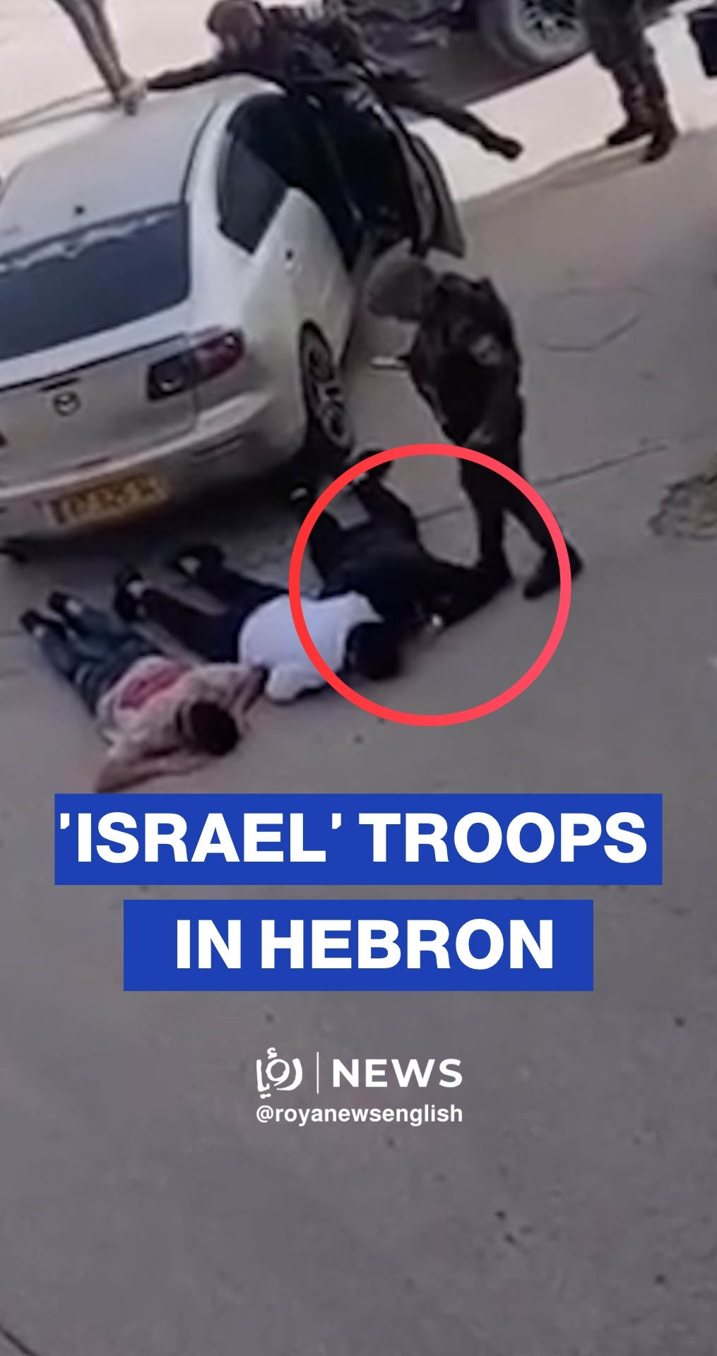 'Israel' troops abuse group of youths in Hebron