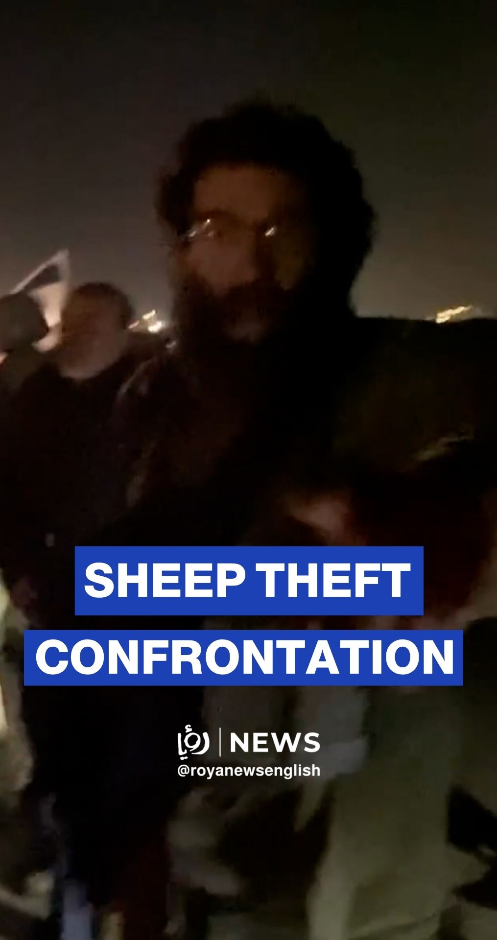 'Israeli' settlers seize sheep herd in Masafer Yatta