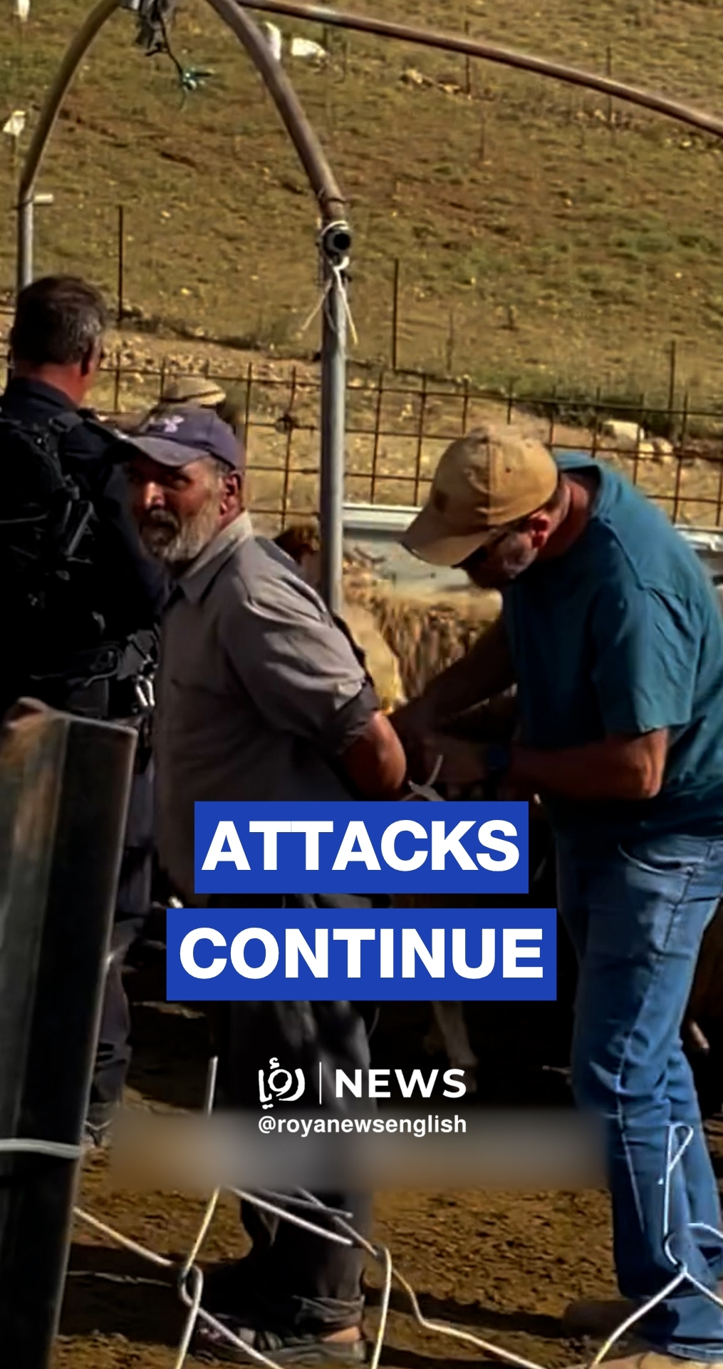 ‘Israeli’ settlers attack Palestinian family & steal sheep