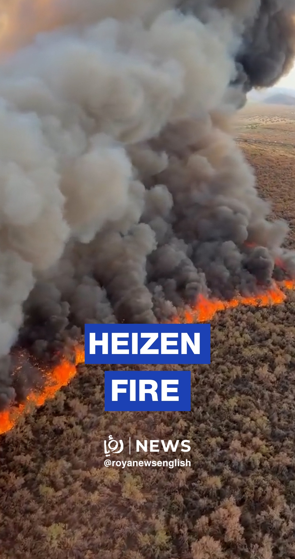 Arizona’s Heizen wildfire explodes to 558 acres