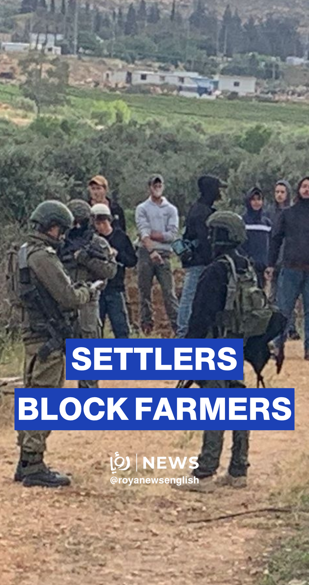 Settler militias block farmers in Turmus Ayya