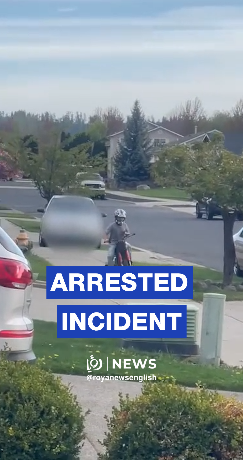 Driver arrested after alleged child attack