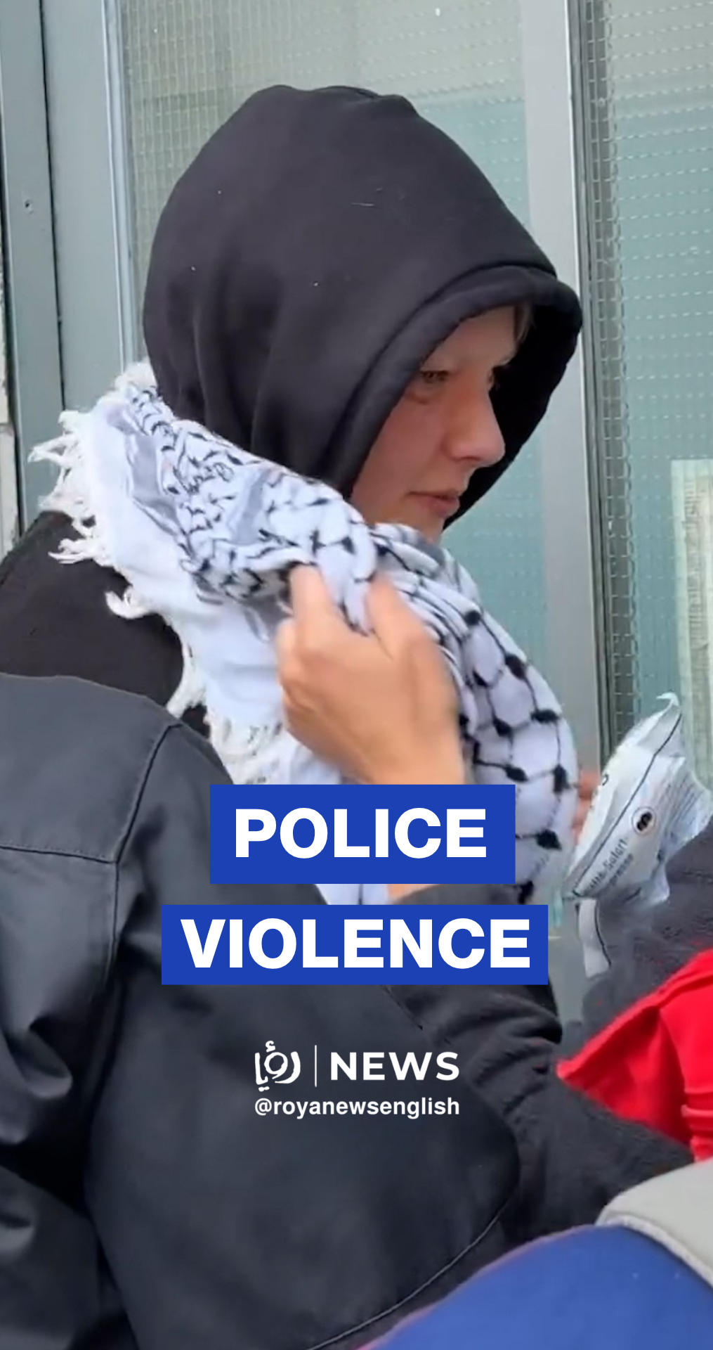 Pro-Palestine protester injured amid Berlin police clashes