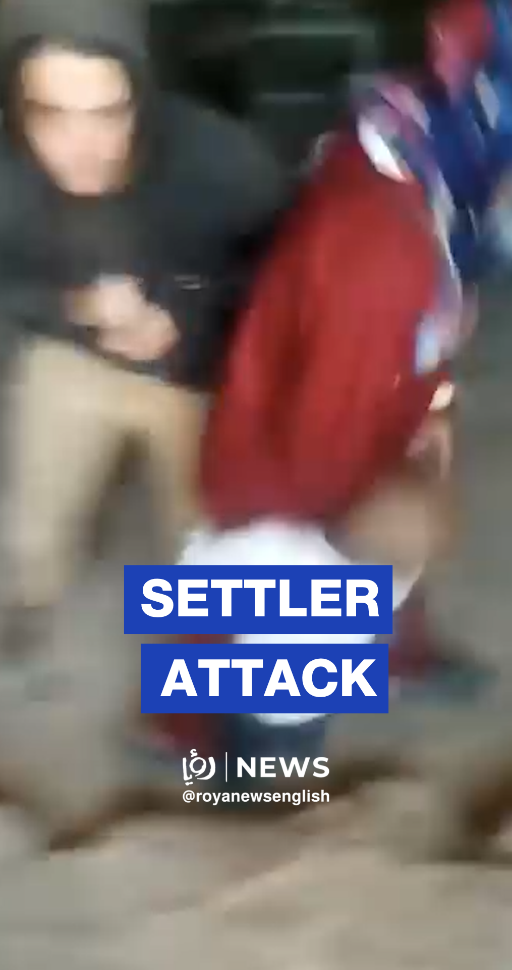 Settler assaults woman and child during home raid in Masafer Yatta