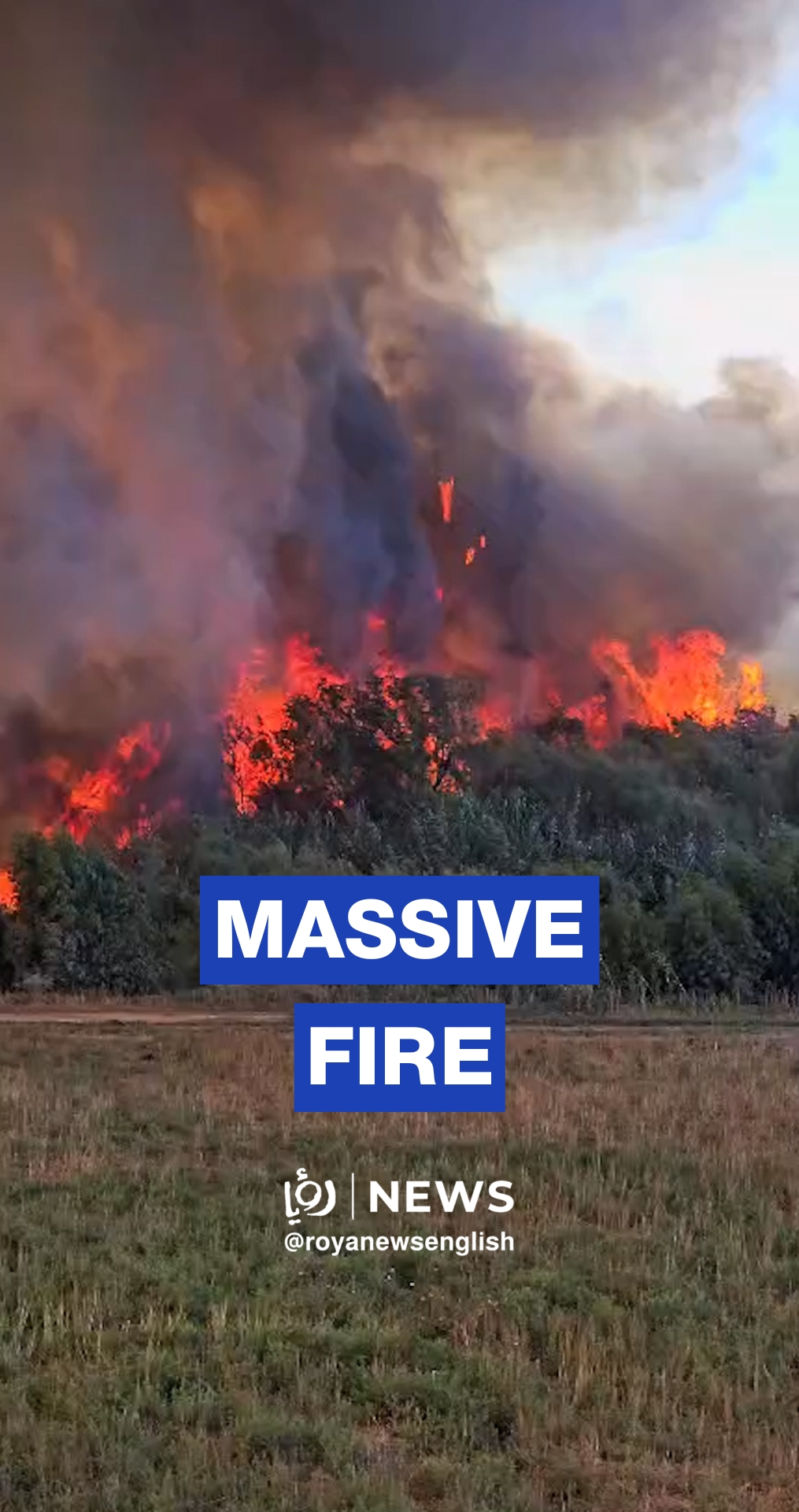 Fire breaks out in Jordan Valley after spreading across border