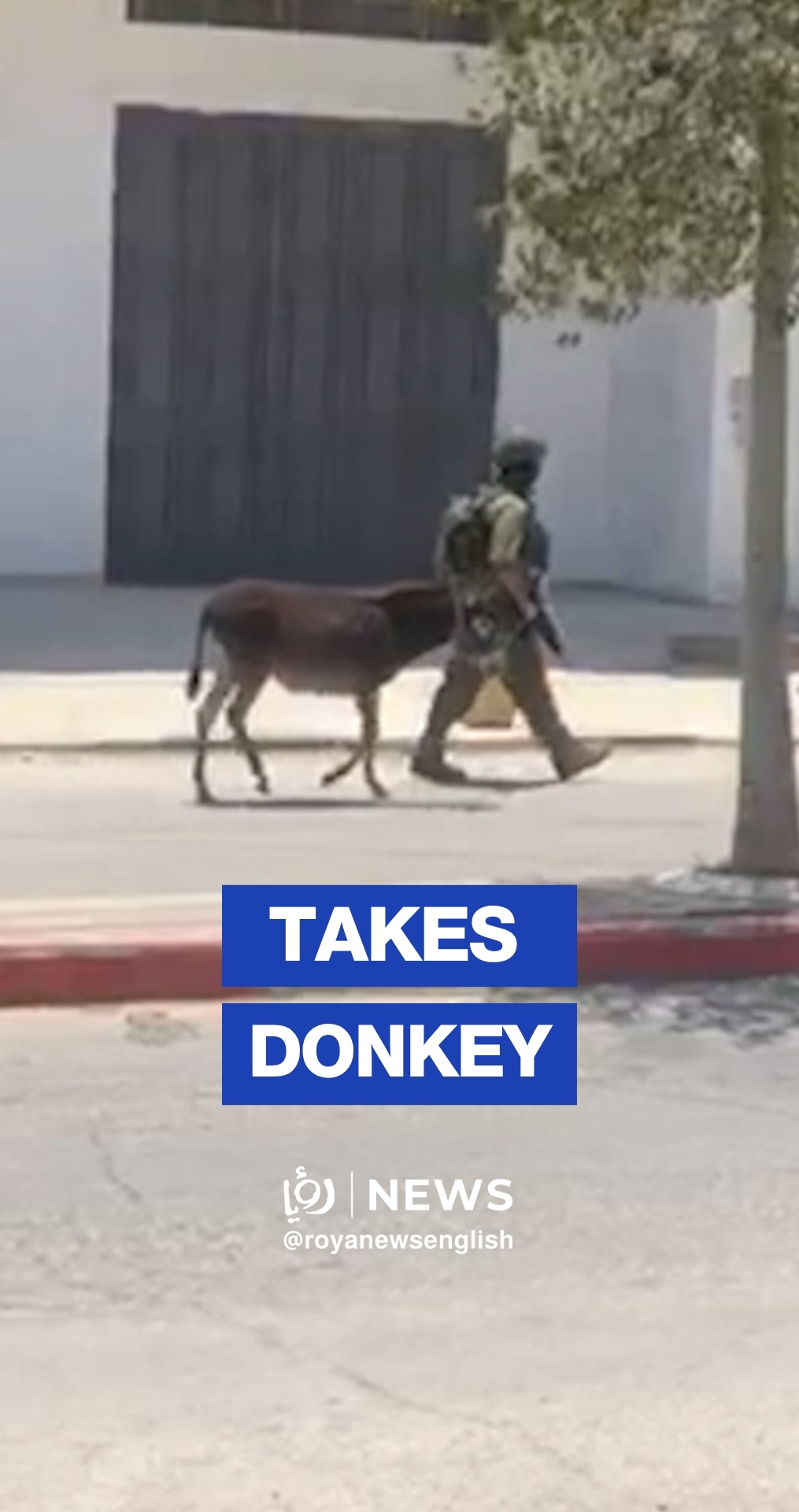 'Israeli' soldier seen taking donkey during raid near Nablus