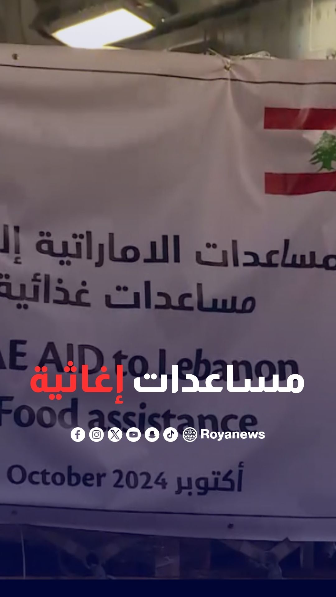 وصول طائرة مساعدات إغاثية من الإمارات إلى لبنان