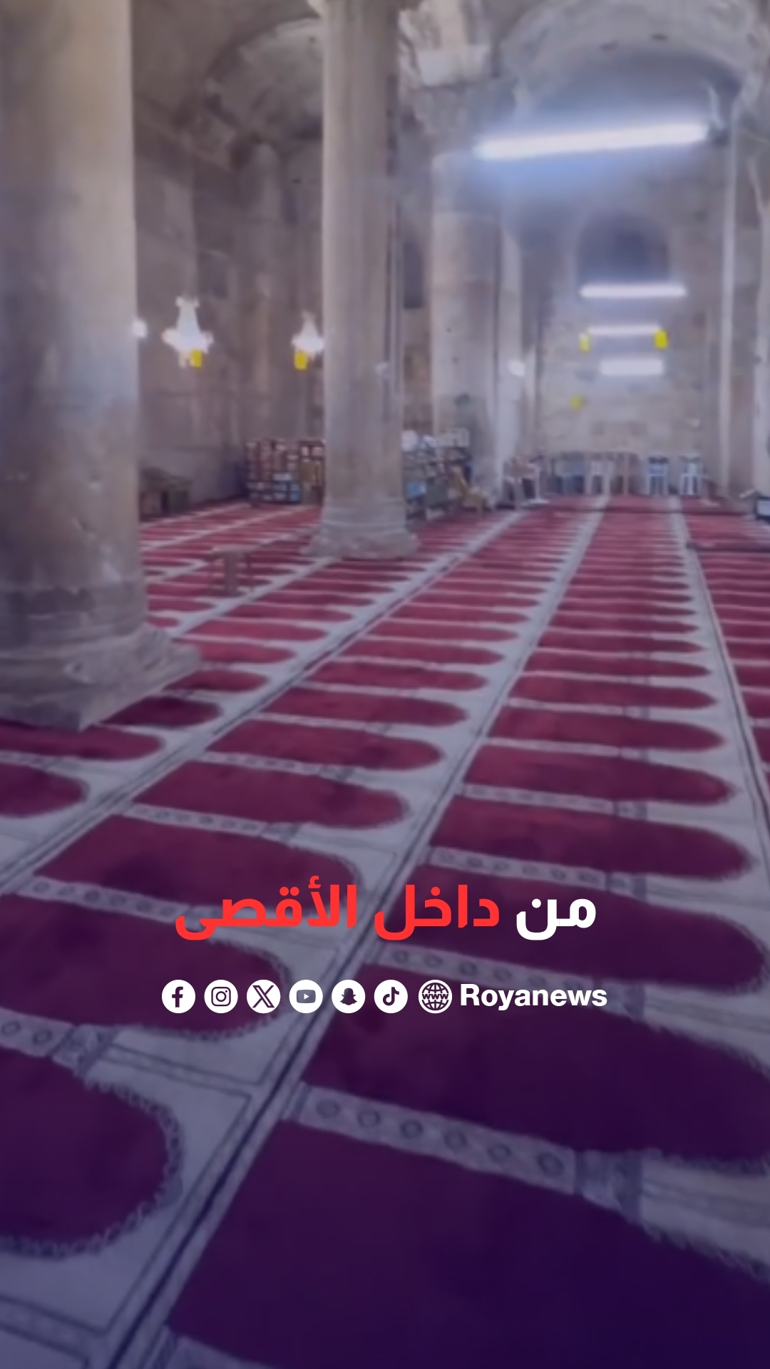 جولة داخل المسجد الأقصى من جهة باب الرحمة