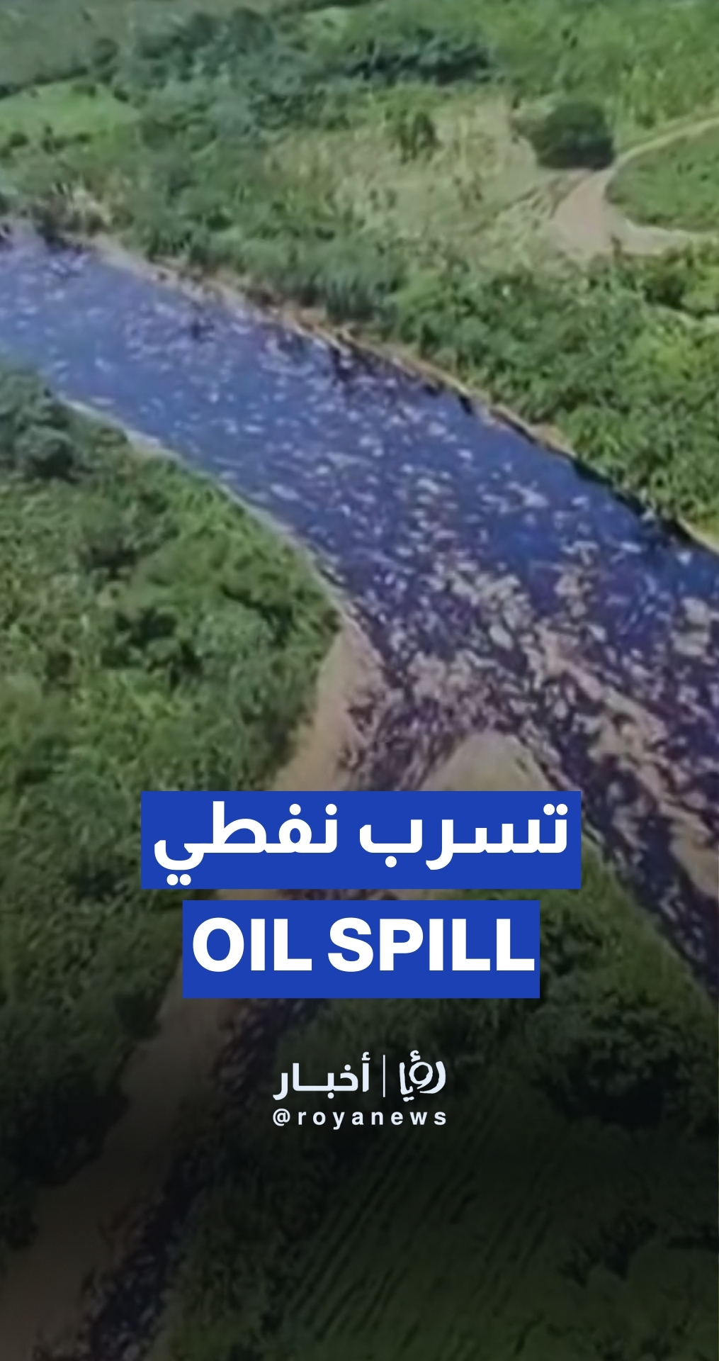 طوارئ في الإكوادور بسبب تسرب نفطي
